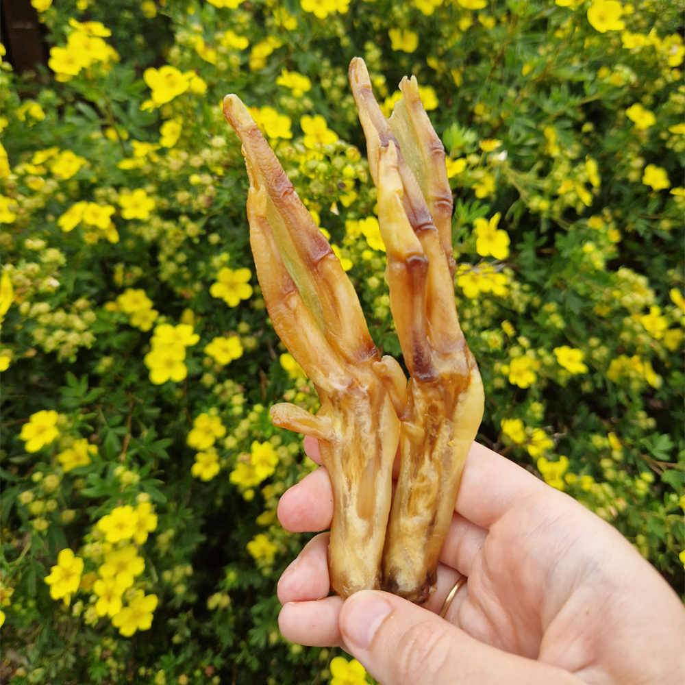 Duck Feet