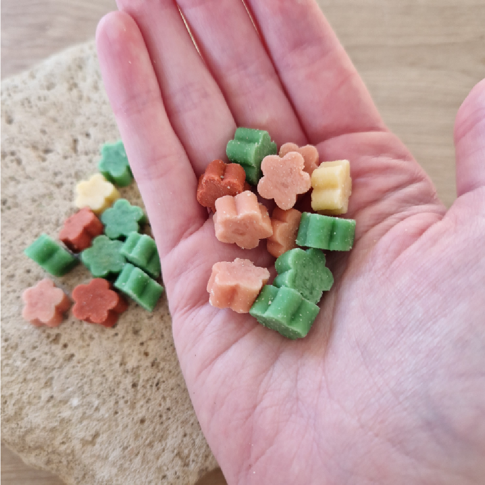 Fruit Salad Mix Training Treats
