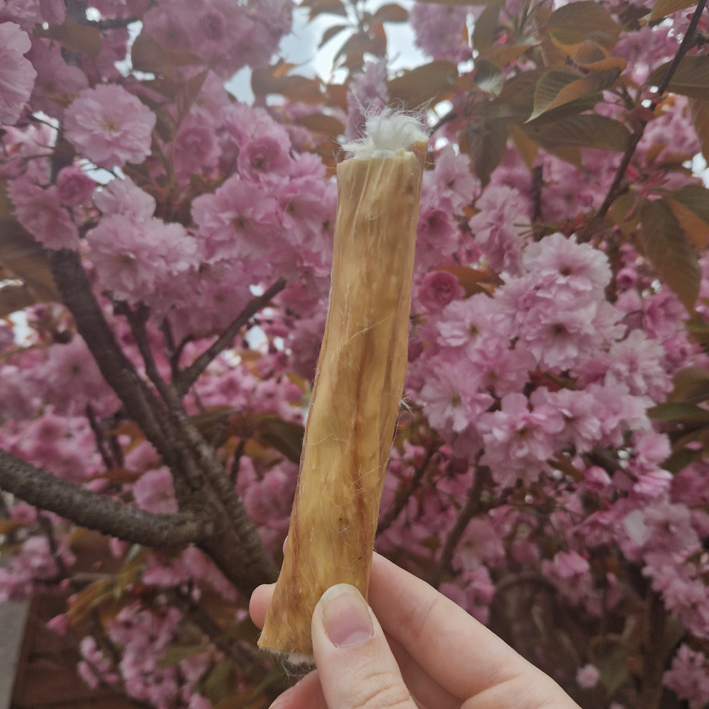 Hairy Rabbit Skin Rolls