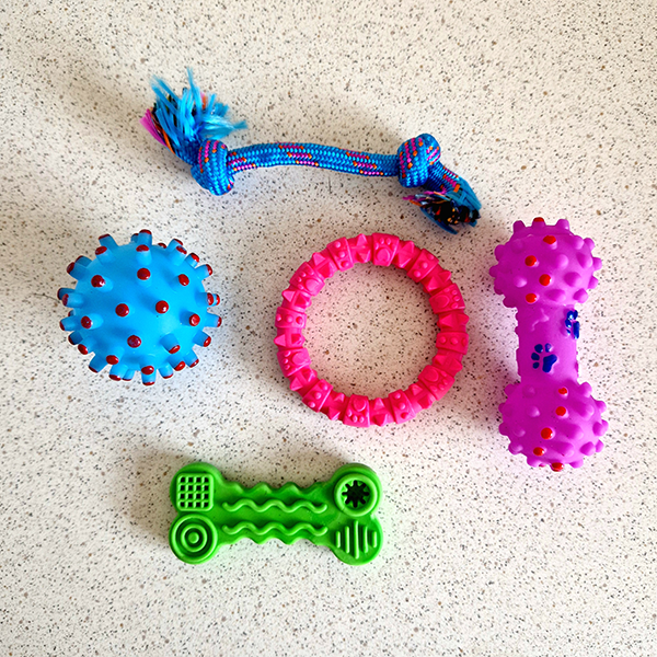 Puppy Toy Bundle