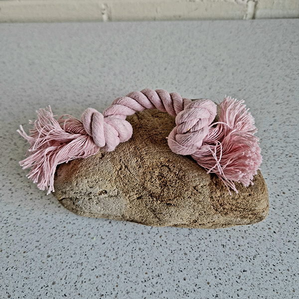 Puppy Rope Toy