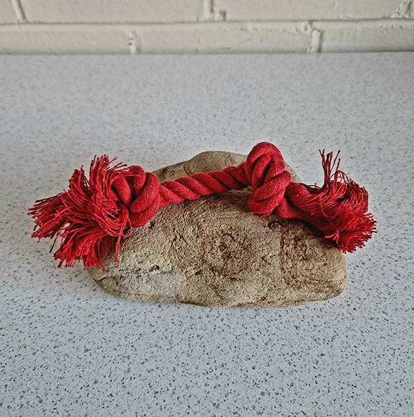 Puppy Rope Toy