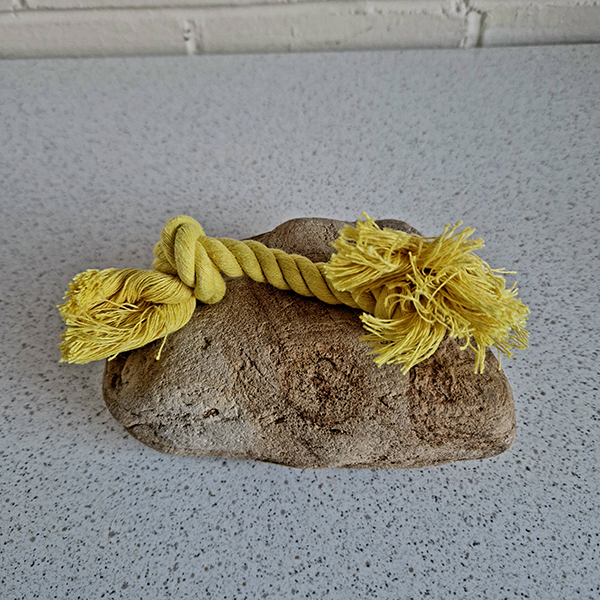 Puppy Rope Toy