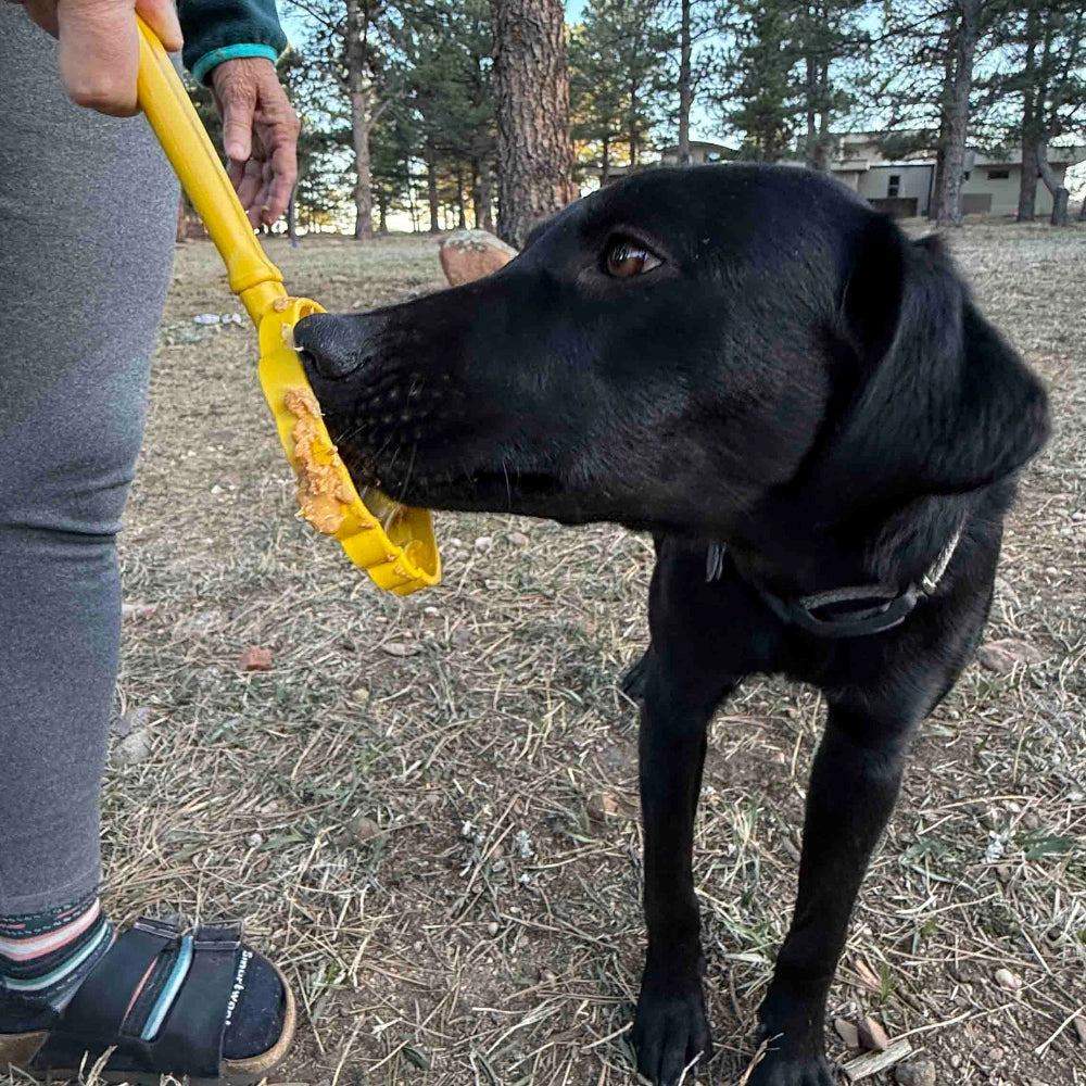 Lick Stick Hand-Held Interactive Enrichment - SodaPup