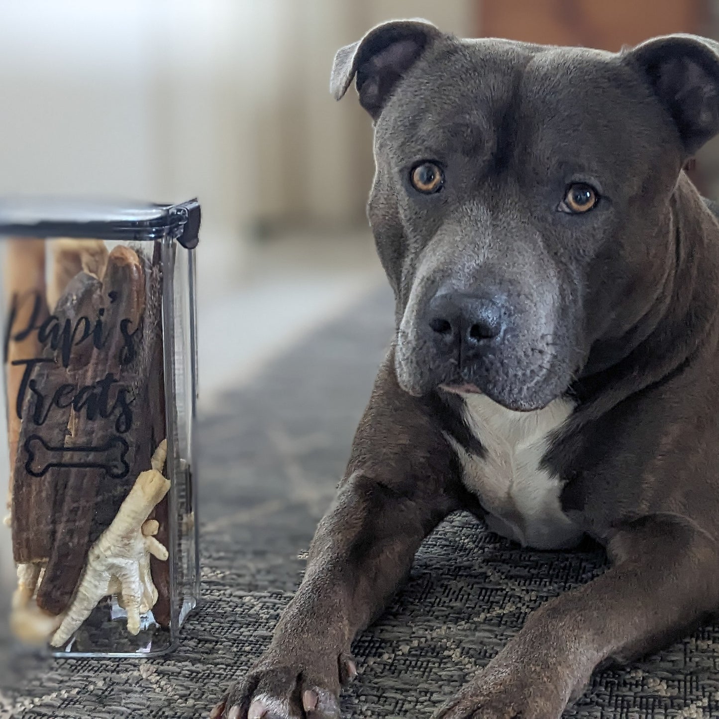 Personalised Airtight Treat Box