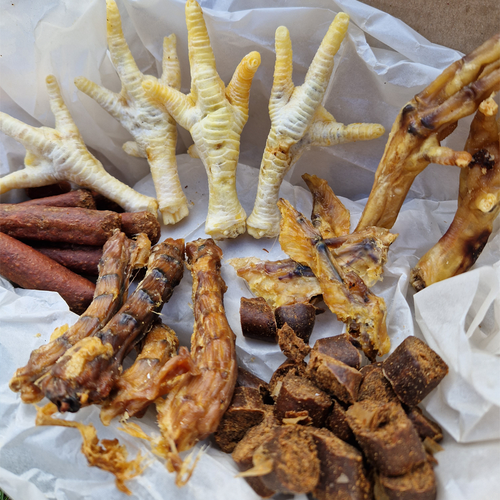 The Chicken Box - Natural Enrichment Box