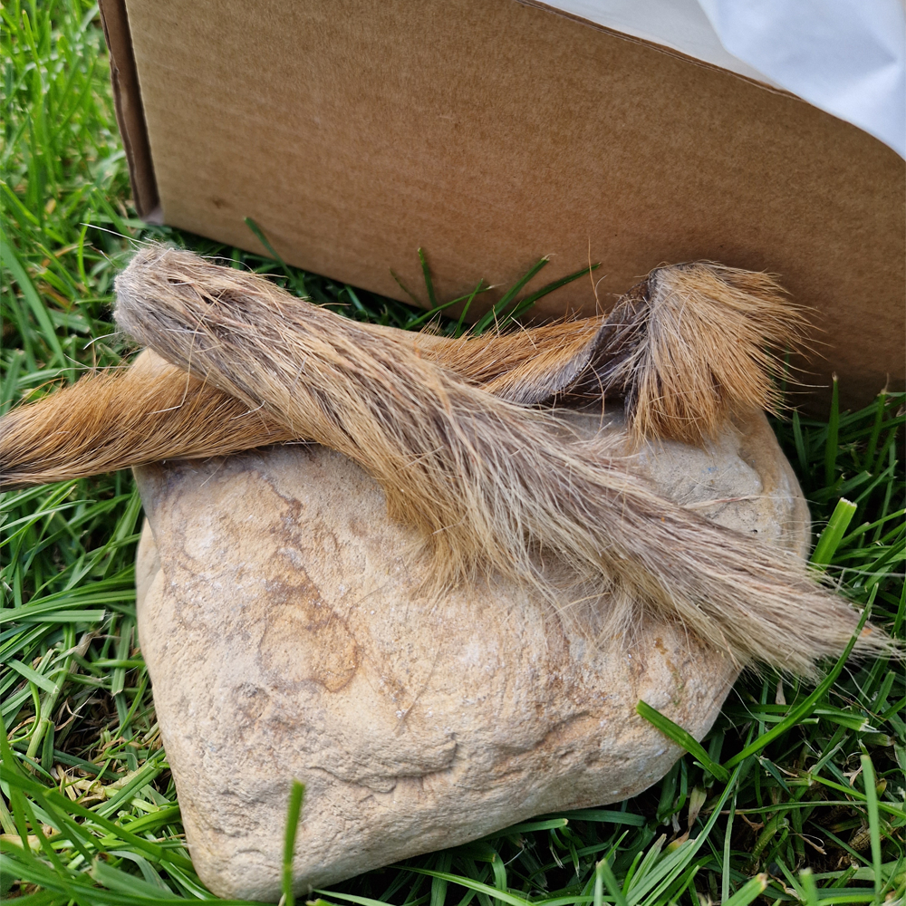 The Fur Box - Natural Enrichment Box