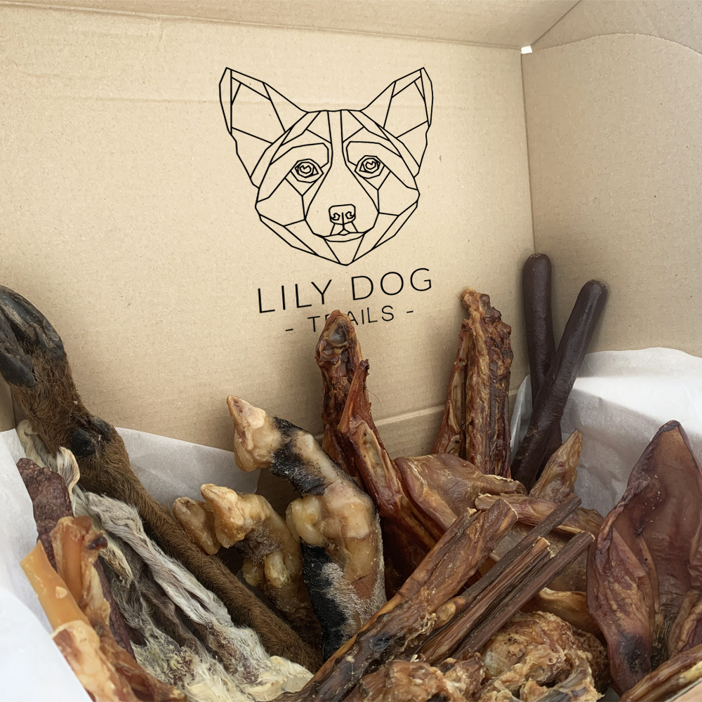 The Ultimate Woofer Box - Largest Natural Chew Box