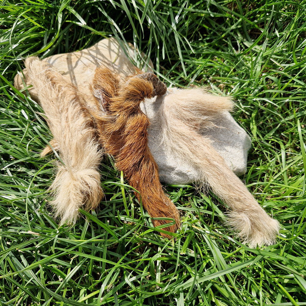 Hairy Venison Skins