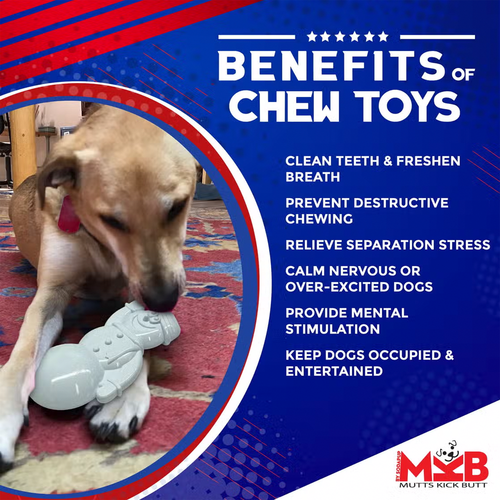 Snowman Ultra Durable Dog Chew - SodaPup