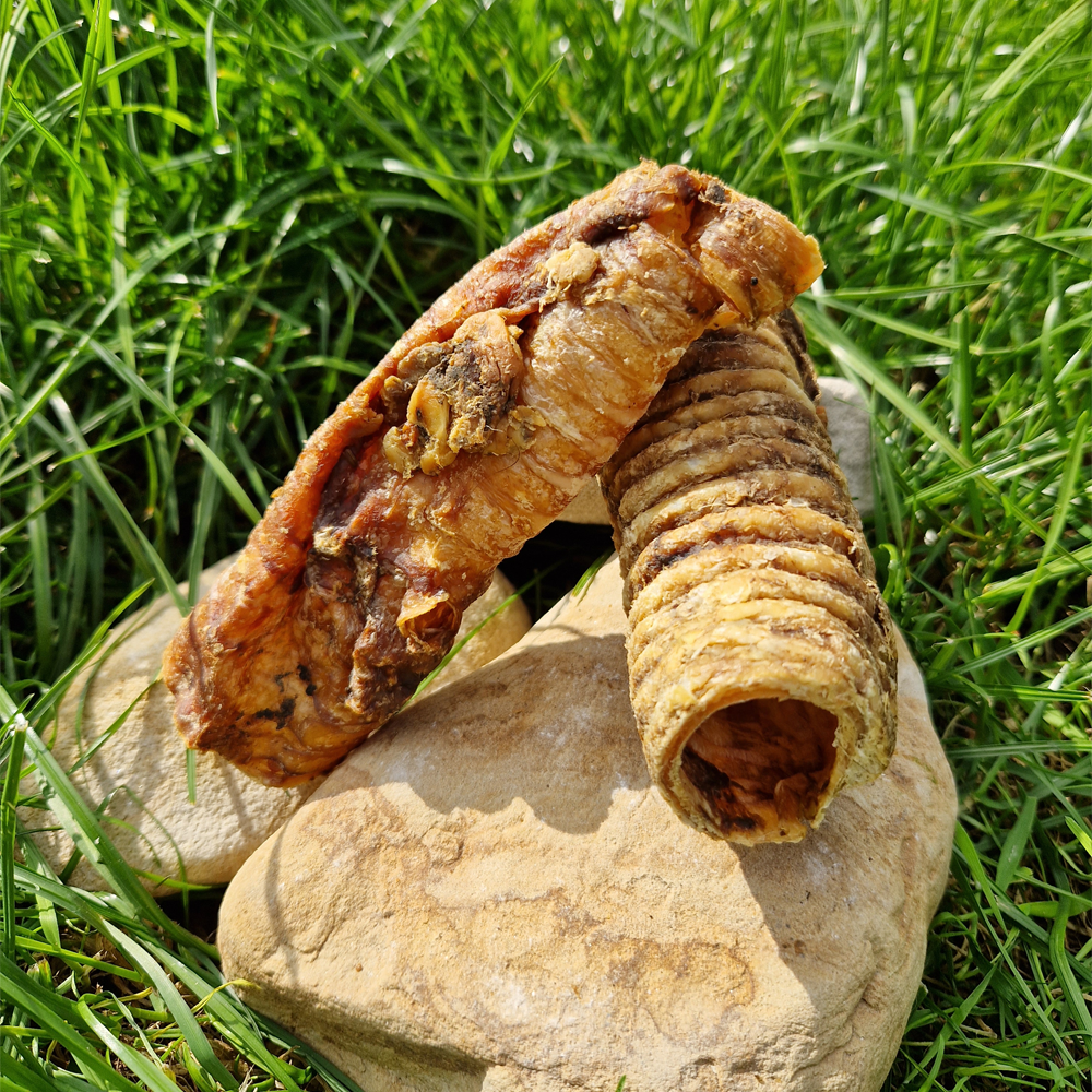 Trachea Pieces