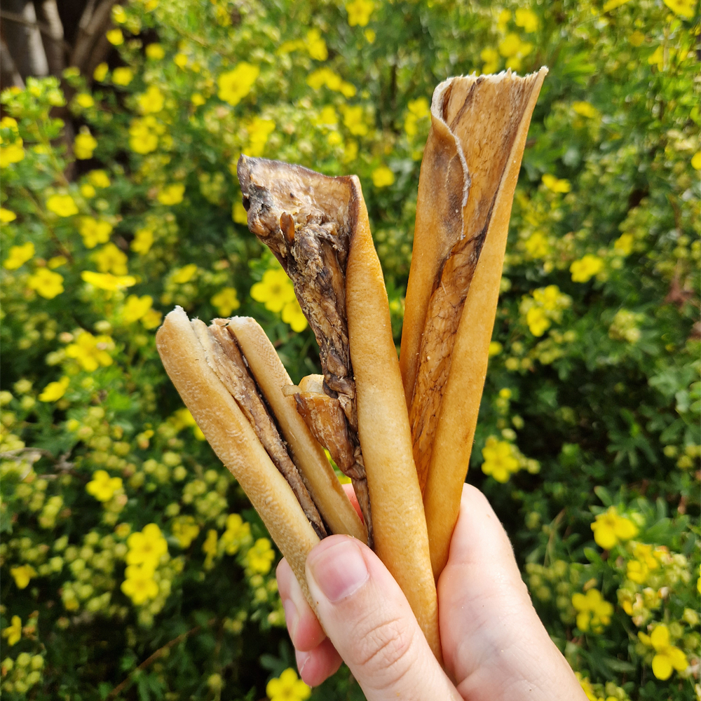 Venison Skin - No Hair