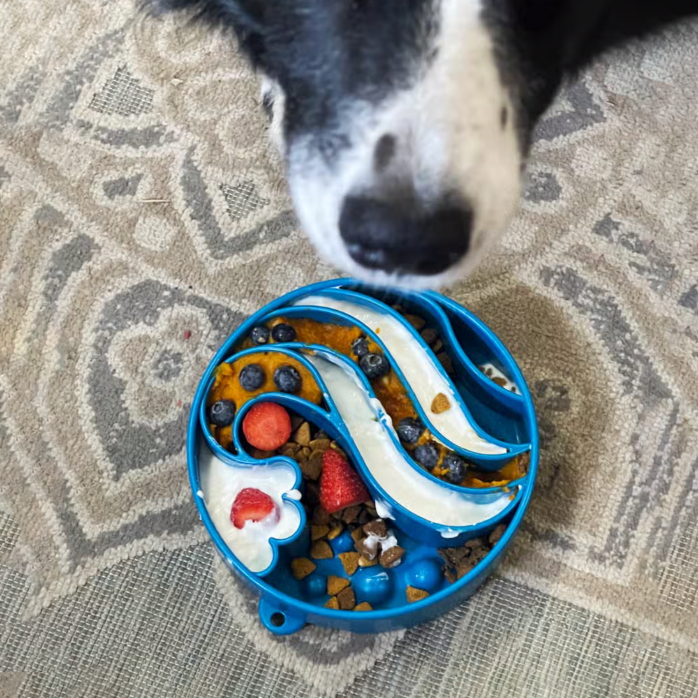 Wave eBowl Enrichment Slow Feeder Bowl - SodaPup