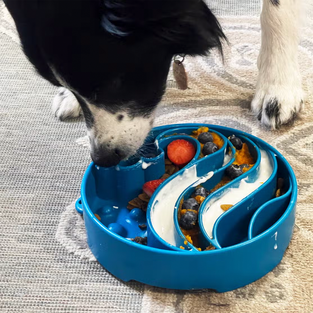 Wave eBowl Enrichment Slow Feeder Bowl - SodaPup