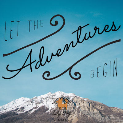 Let the Adventures Begin