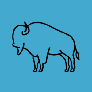 Buffalo