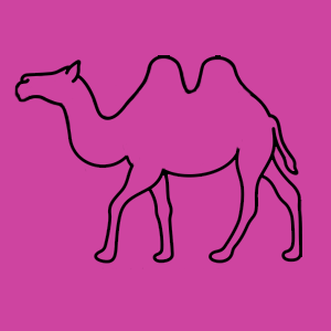 Camel