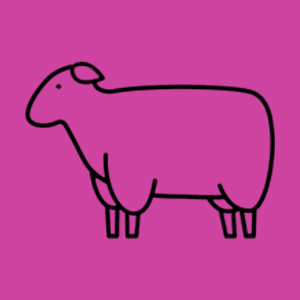 Lamb