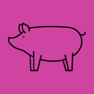 Pork