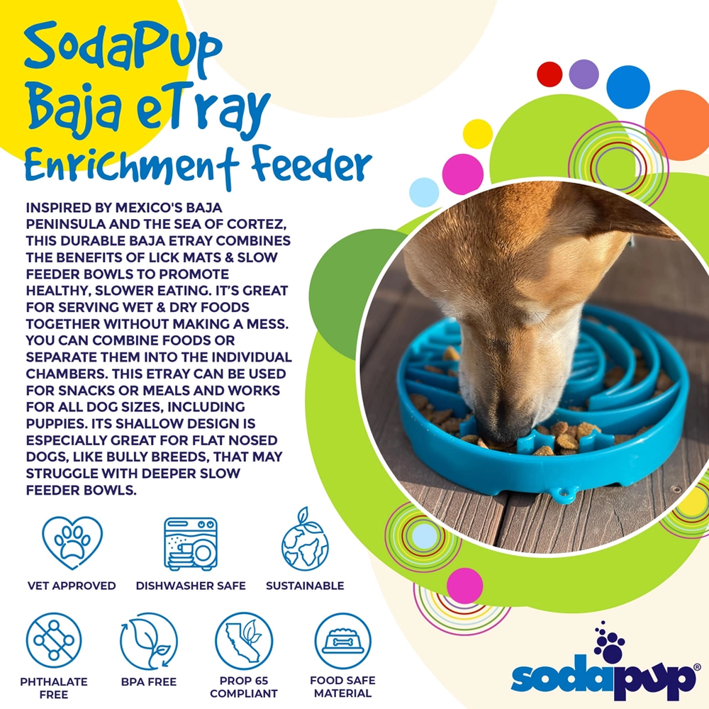 Baja eTray Shallow Enrichment Slow Feeder Bowl - SodaPup