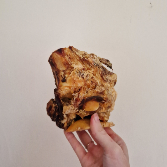 Beef Knuckle