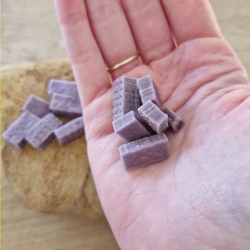 Blueberry Training Treats