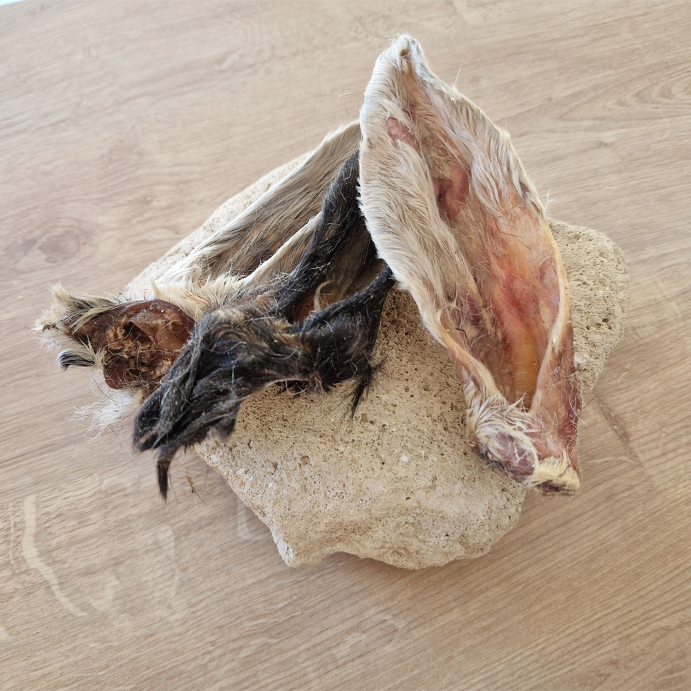 Hairy Lamb Ears