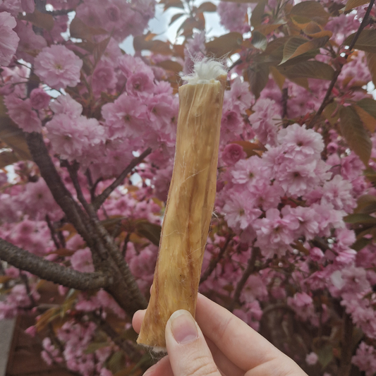 Hairy Rabbit Skin Rolls