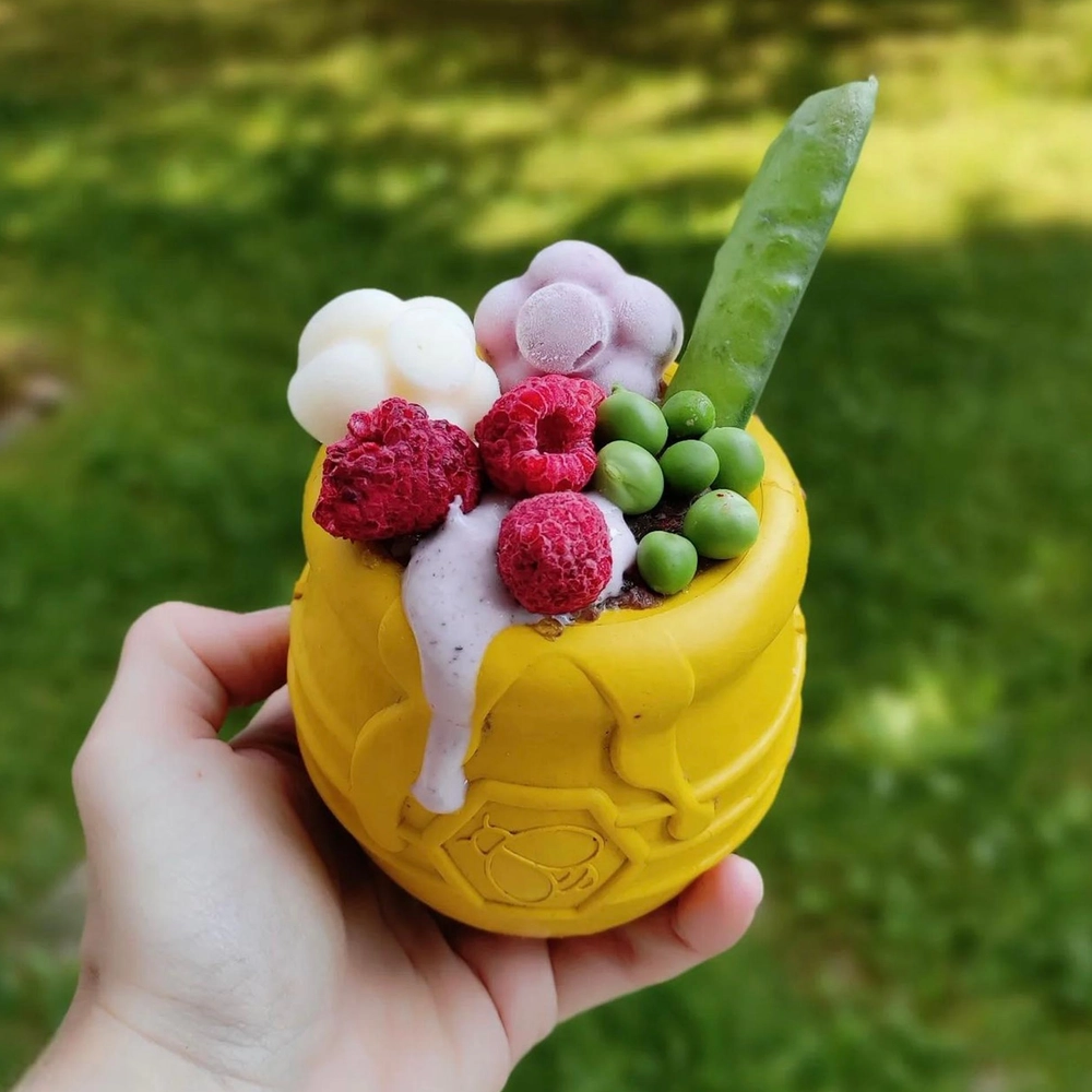 Pup-X Honey Pot Treat Dispenser - SodaPup