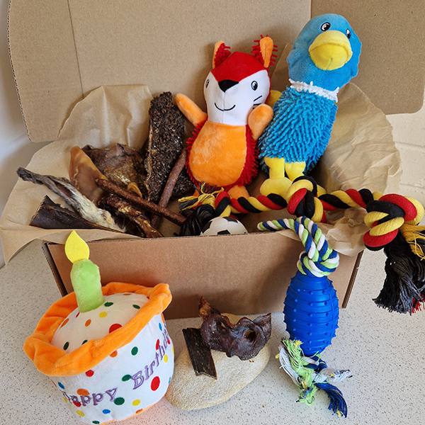 The Birthday Box for Dogs
