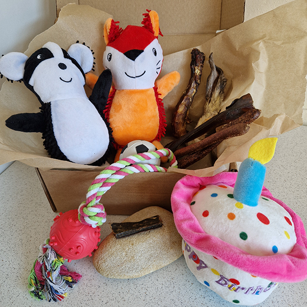 The Birthday Box for Dogs