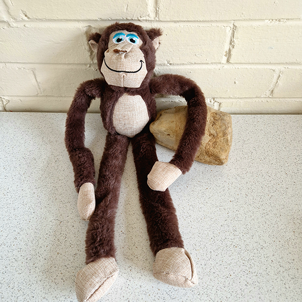 Plush Monkey Dog Toy