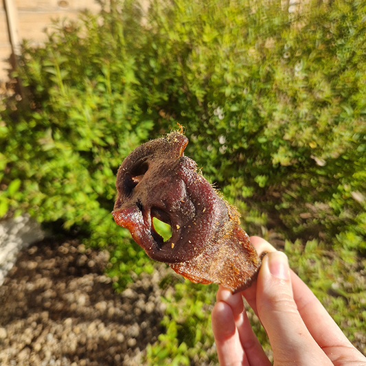 Pig Snouts