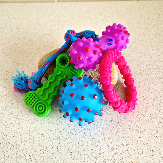 Puppy Toy Bundle