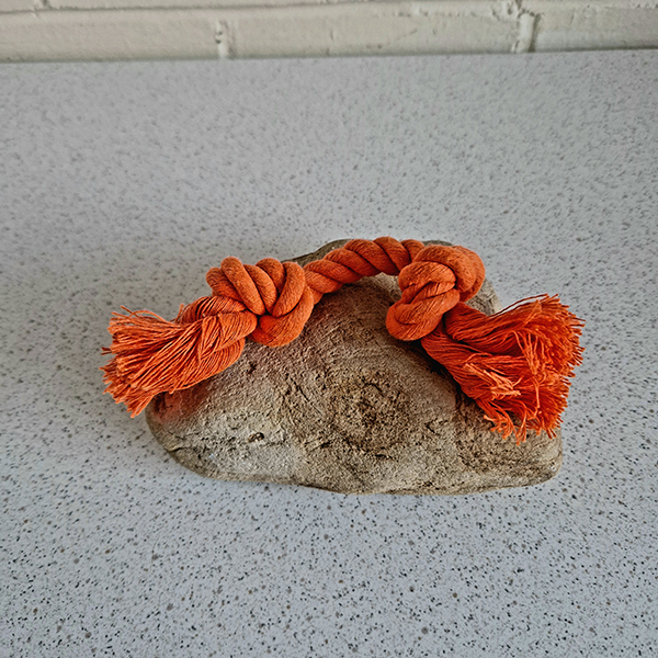 Puppy Rope Toy