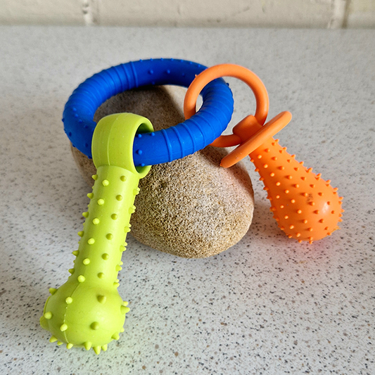Puppy Teether Dog Toy