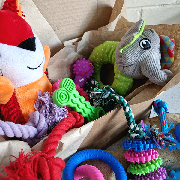 The Puppy Toy Box