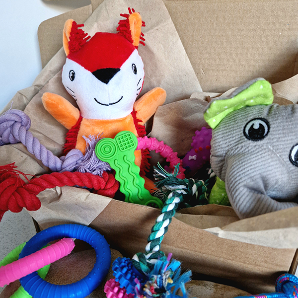 The Puppy Toy Box
