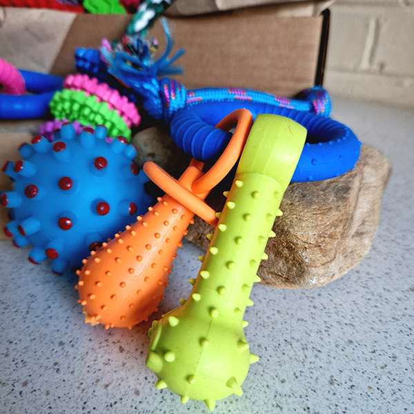 The Puppy Toy Box