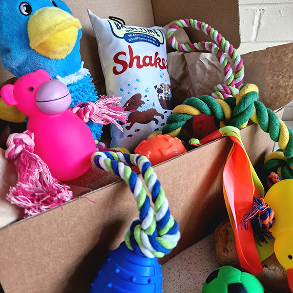The Toy Box