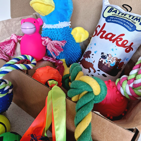 The Toy Box