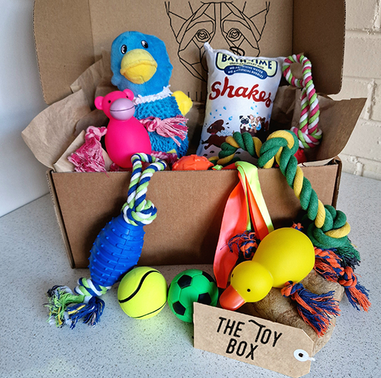 The Toy Box