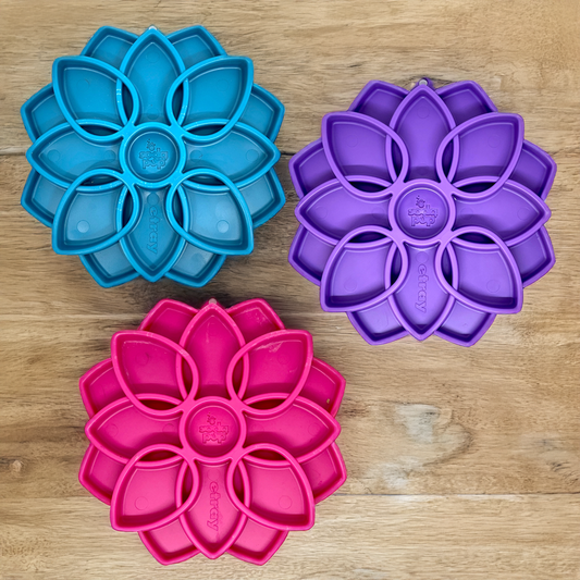 Mandala Enrichment Tray For Dogs - SodaPup