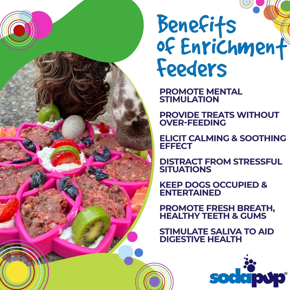 Mandala Enrichment Tray For Dogs - SodaPup
