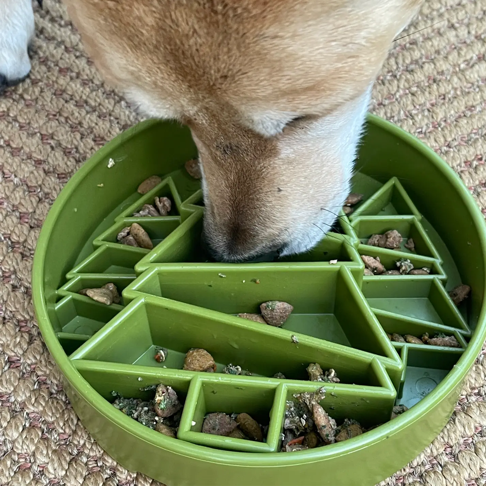 Pine Tree eBowl Enrichment Slow Feeder Bowl - SodaPup