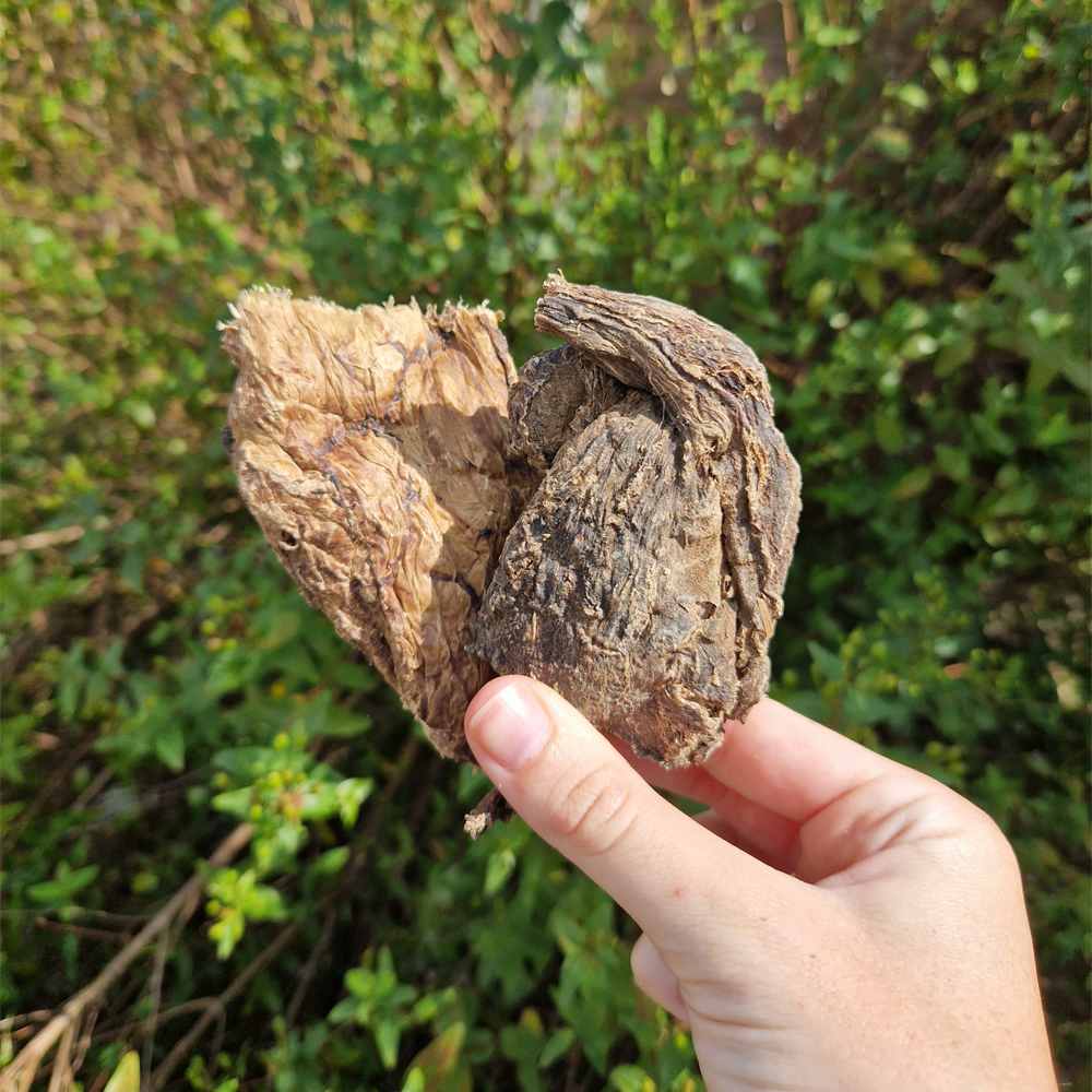 Puffed Jerky