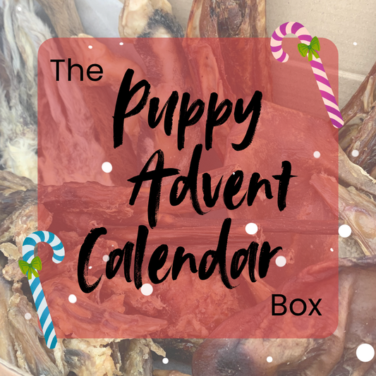 The Puppy Natural Treat Advent Calendar Box