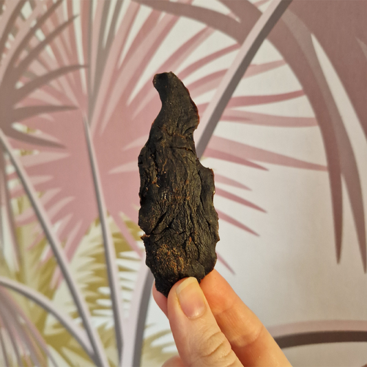 Rabbit Liver