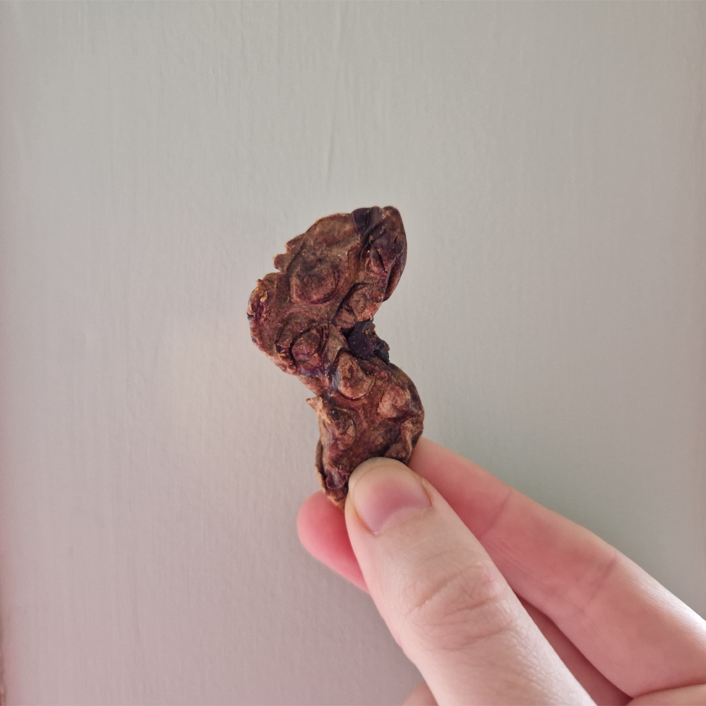 Rabbit Lung