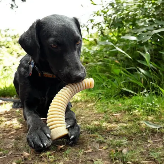Antler Ultra Durable Nylon Dog Chew Toy - SodaPup